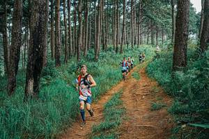 BIB: 
                            <button type="button" onclick="openModal(25658344)" class="btn btn-primary btn-sm float-right btn-popup" data-toggle="modal" data-target=".modal-high-quality">
                        <i class="fas fa-shopping-cart"></i> Add to Cart
                    </button>
                                            <button type="button" onclick="isThisMe(25658344, true)" class="btn btn-success btn-sm float-right btn-popup btn-isme hidden" data-toggle="tooltip" data-placement="bottom" title="นี่คือรูปของคุณใช่ไหม คลิกที่นี่เพื่อเอาเข้าอัลบั้ม">
                        <i class="fas fa-plus"></i> Add to album
                    </button>
                    <button type="button" onclick="isThisMe(25658344, false)" class="btn btn-warning btn-sm float-right btn-popup btn-isnotme hidden">
                        <i class="fas fa-ban"></i> Remove from album
                    </button>